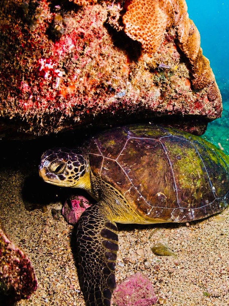 Home buceo 3