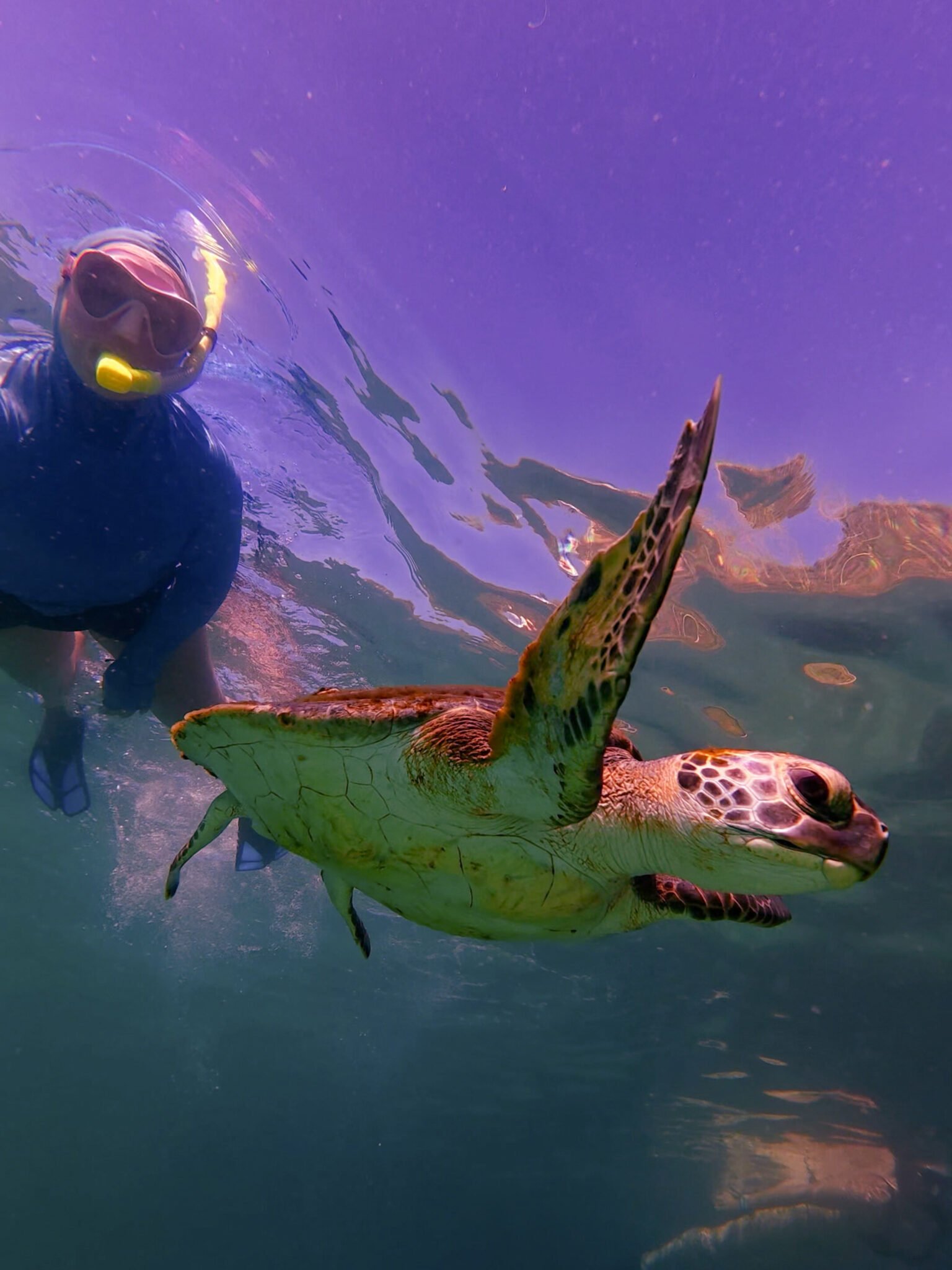 Home snorkel 3